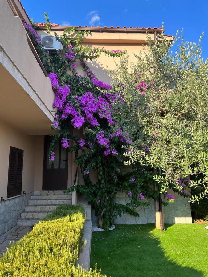 Apartments House Barbara Kornić المظهر الخارجي الصورة